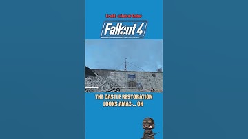 Random Fallout Memes Part 121 #fallout4 #fallout4shorts #falloutmemes