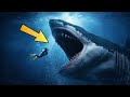 Could Megalodon Still Be Alive in the Deep Ocean?