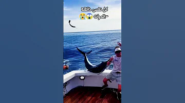 كل نفس ذائقة الموت عبدالرحمن مسعد طمأنينة اكسبلور 