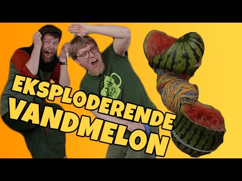 Video: Almindelig Vandmelon