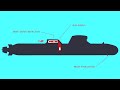 Barracuda Type SSN and Naval Special Forces