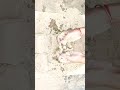 Soft Dirt Crushing #satisfying #crunchycrumbles #puremuddirt #dirtcrumbling #muddirtasmr