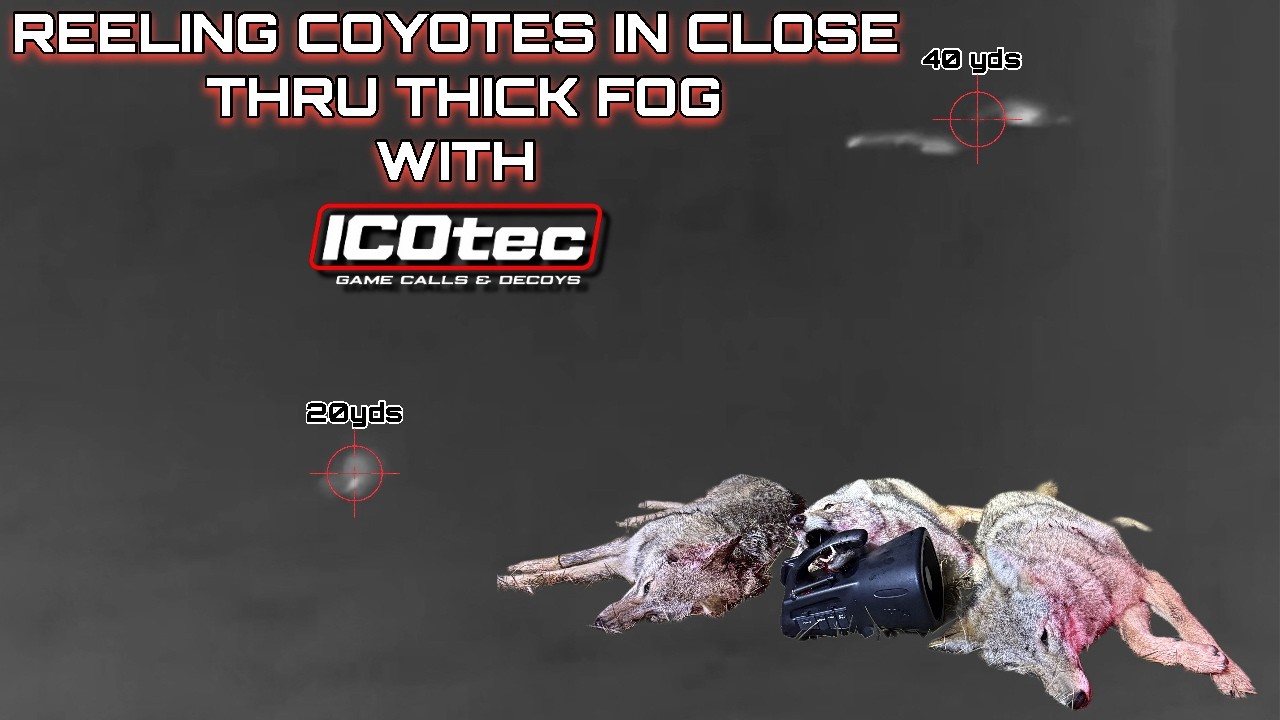 Thermal hunting coyotes in THICK FOG - CALLING THEM IN CLOSE!!