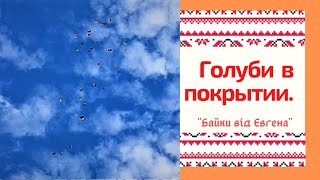 Николаевские Голуби Александра Дрыги  в  Небе . Харьков.