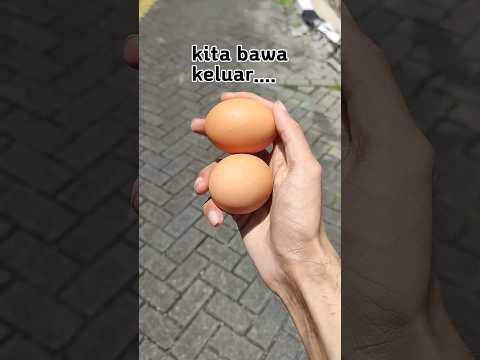 Ambil 2 telur kamu