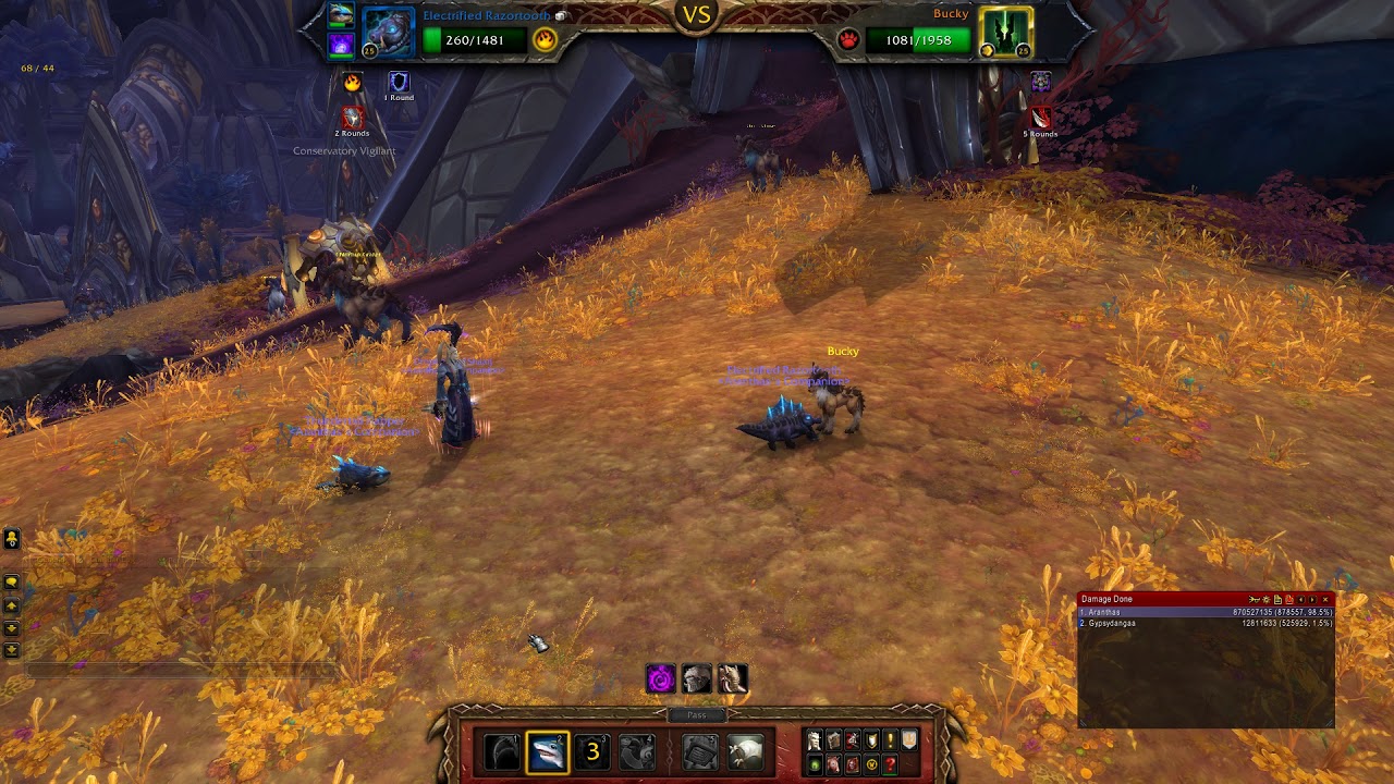 WOW - Pet Battle - Bucky - Full Elemental Team