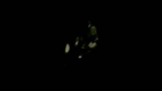 Download Lagu Primus - Nature Boy LIVE MP3