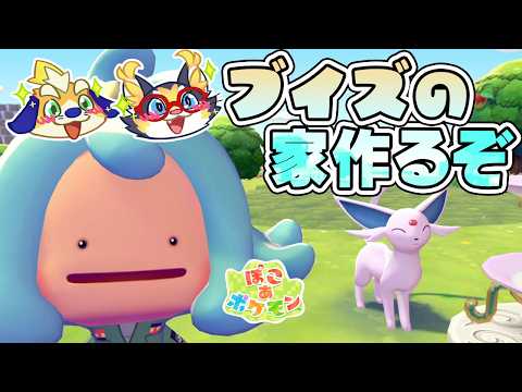 【ぽこあ】クリア後！ブイズの家を作りながらまっさら島を開発するぞー！【 ポケモン】
