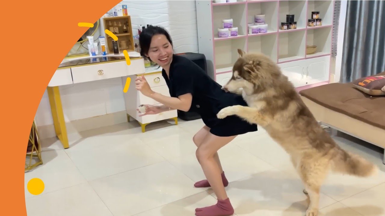 Смешное видео с собакой!! Самая смешная реакция ТОТО, когда Кван зовёт его по имени! 😂🐶