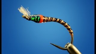 Moose Buzzer -- Fly tying lesson video tutorial by Clark "Cheech" Pierce