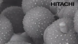 High-Tech Microscopes Inspire Students in the USA - Hitachi