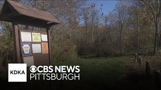 Man's body found on state game lands in Westmoreland County; state police investigating