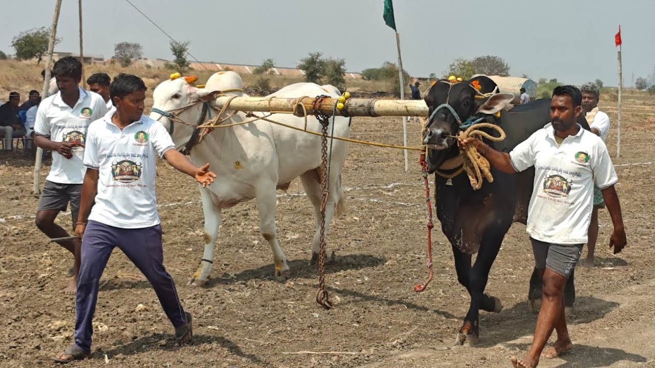 తలపనూరు 6పల్లలో,4వ జత,హేమలతా రెడ్డి గారు,పాలూరు