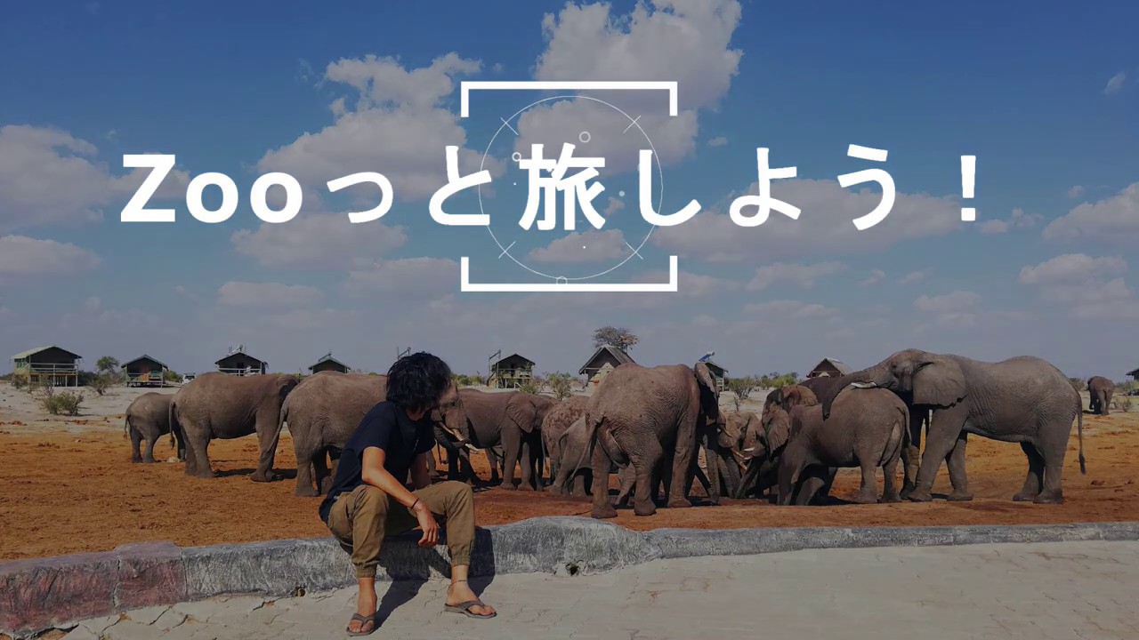 動物に会いに行こう Zooっと旅しよう 海外の国立公園や動物園を訪問し続ける旅人のブログ