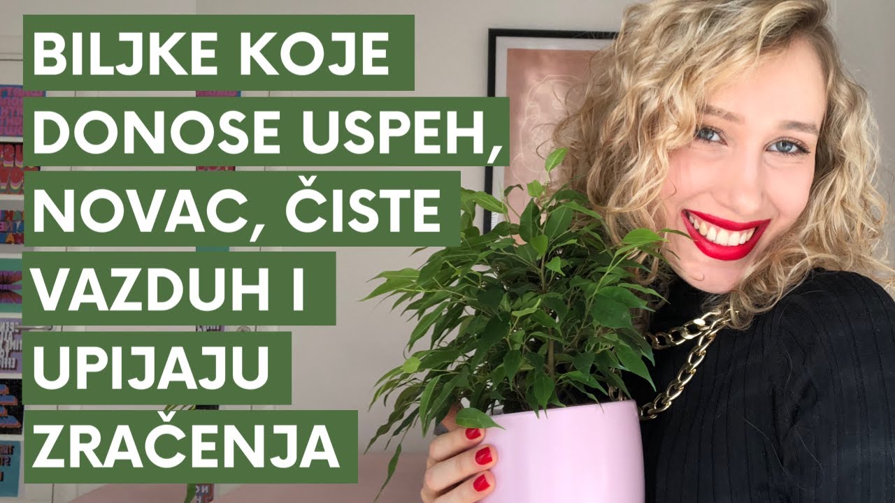5 idealnih biljaka za vaš dom | Marta Savatović
