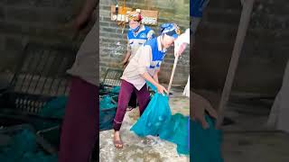 Nhà Em Lâm Sản Xuất Chồn Giống Quanh Năm 0347.629.888