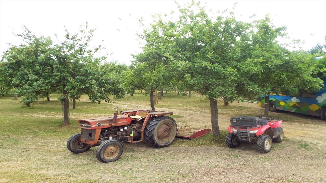 Burrow Hill Cider Farm