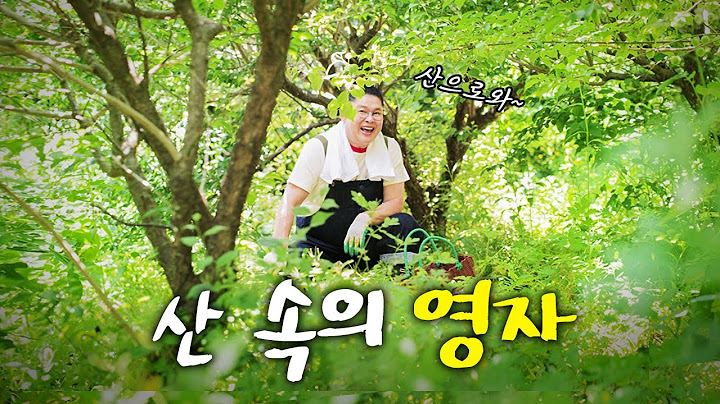 이영자 4촌 하우스 떠나 산으로 간 이유