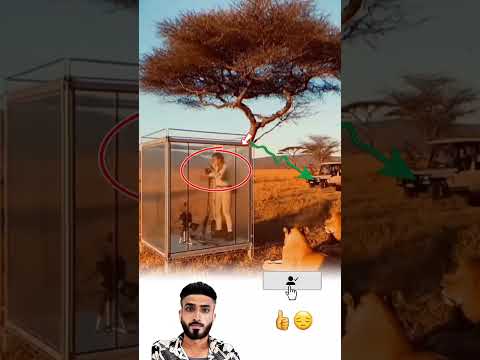 وحيد القرن يشق الأشباك الدائرية والفتاة في الداخل بين الخطر والأمل Allah Funny اكسبلور 