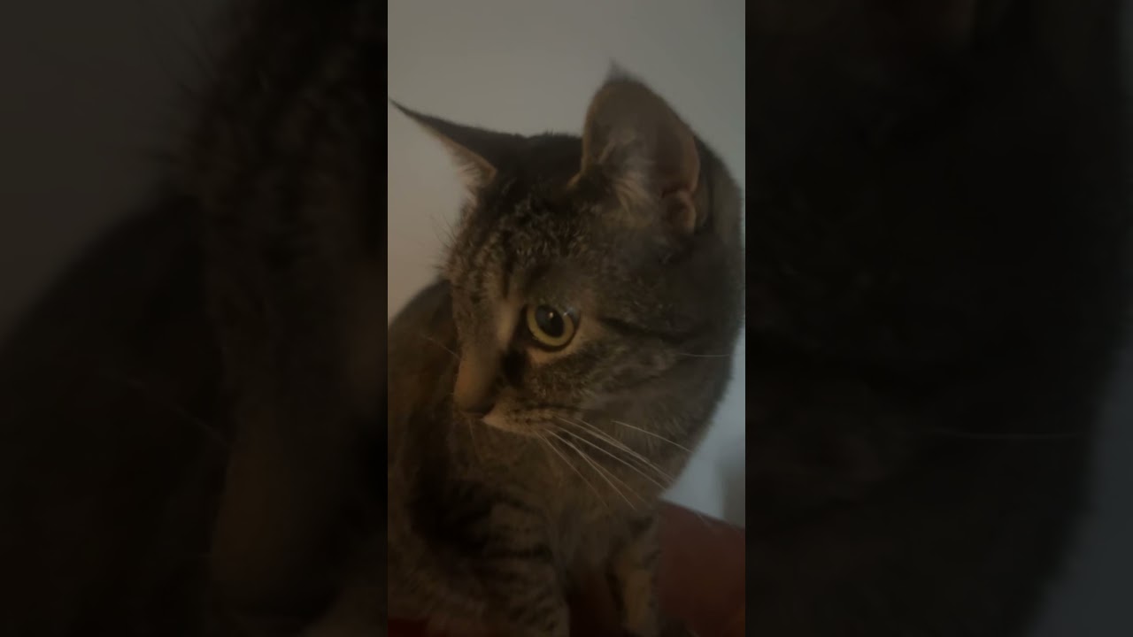 POV the calmest Java has ever been 