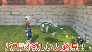 レジェンズアルセウス バスラオの出現場所 入手方法解説 アルセウス Pokemon Legends アルセウス Pokemonlegends 攻略 ポケモンアルセウス ゲット方法 Youtube