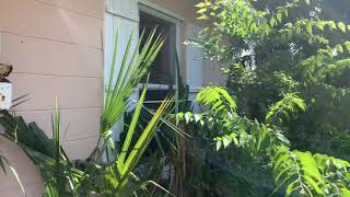 Investment Property 924 3Rd Ave S Jacksonville Property Turn Final Walk