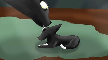 Somewhere we only know MAP - parts 1 and 2