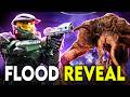 THE FLOOD REVEAL Exclusive Halo Campaign Evolved Gameplay THE FLOOD REVEAL Exclusive Halo Campaign Evolved Gameplay