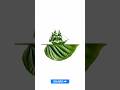 Adobe Photoshop 2026 Mask Tutorial – Master Layer Masks Like a PRO