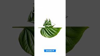 Adobe Photoshop 2026 Mask Tutorial – Master Layer Masks Like a PRO