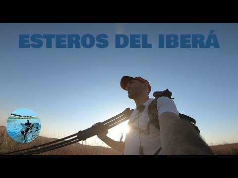 ACAMPANDO SOLO EN LOS ESTEROS DEL IBERÁ, PORTAL CARAMBOLA | ANIMALES | VIAJANDO POR ARGENTINA #28