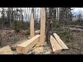 Freehand chainsaw milling  turning logs into lumber
