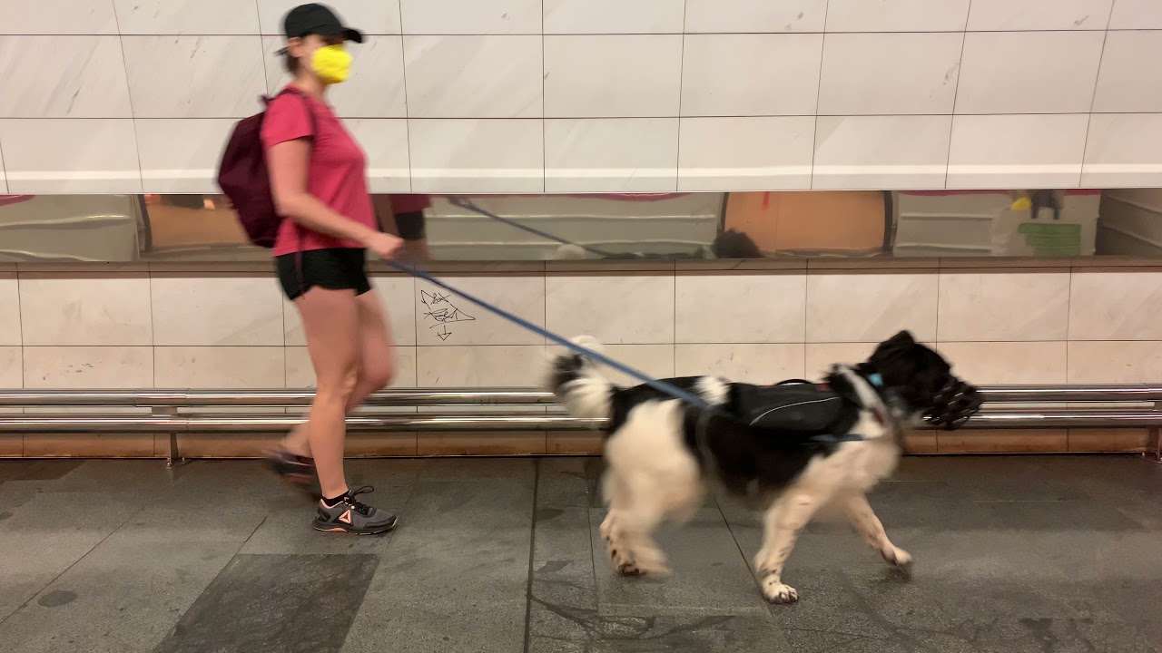 exkUrsion #1 [4K60] | Metro Linka A Praha - Depo Hostivař to Nemocnice Motol | Realtime & Ambience