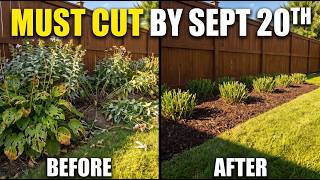 7 Perennials You Must Cut to the Ground Before Sept 20th (Otherwise It's Too Late For Next Year)