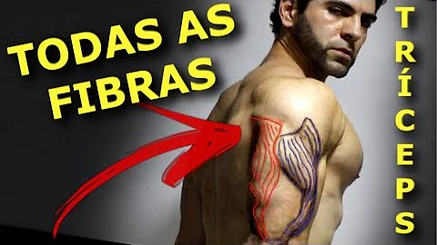 Como trabalhar todas as cabeças do tríceps?