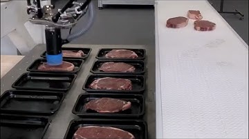 Robotic handling. Steaks. Pick and Place. Suction cup gripper. Delta robot. Primary packaging.