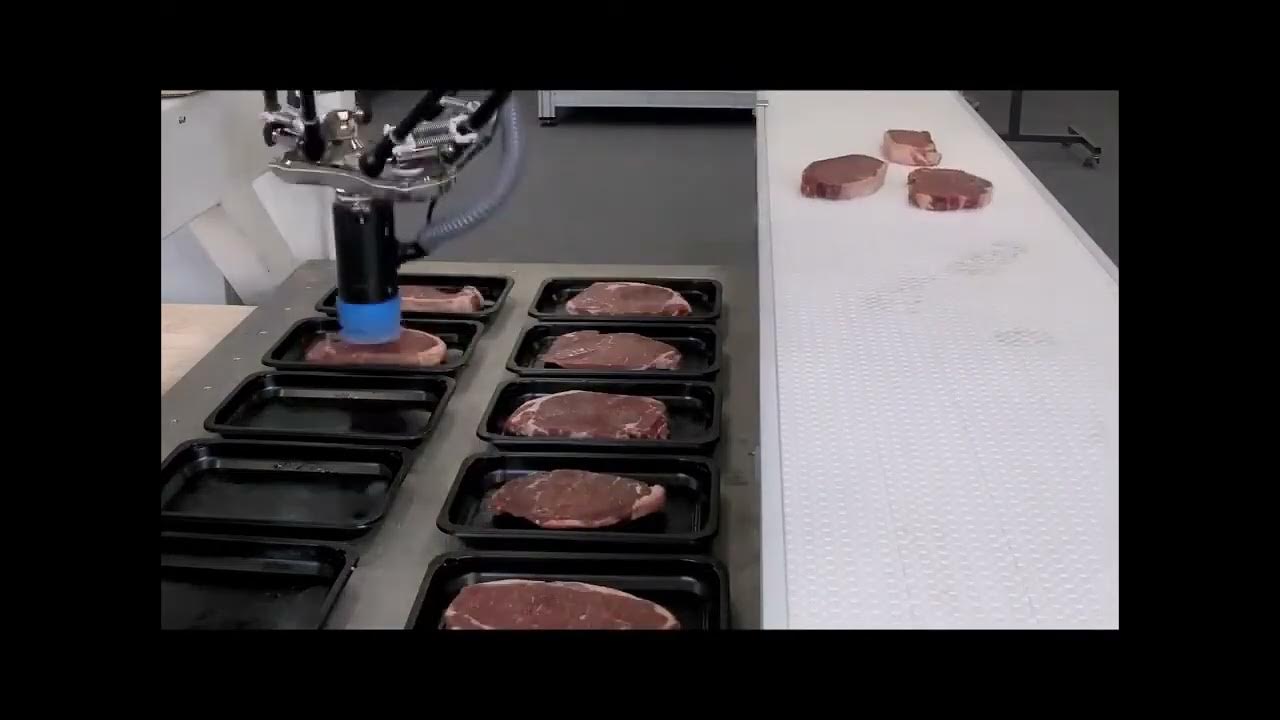 Robotic handling. Steaks. Pick and Place. Suction cup gripper. Delta