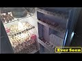 EGG HATCHING IN refrigerator ( Fridge ) || DIY- Homemade Fridge egg incubator || How to hatch eggs