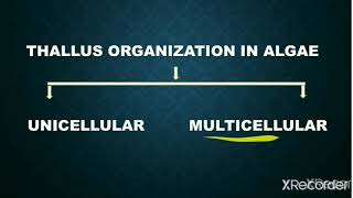 Range of thallus organization in Algae|| for b.sc and M.sc