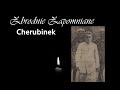 Cherubinek - czyli historia Stanisława Zalasy