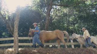 Palomares Canyon Ranch - San Francisco Bay Area's Hidden Treasure