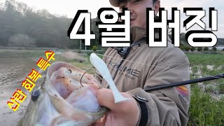 4월에 버징 안 해본사람 손 접어 #버징낚시 #엣지쉐드