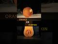 Orange Or Pumpkin Under The Microscope?