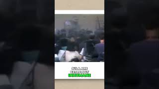 Celebrity Inside San Pedro Sula Prison: Human Rights Violations and Inhumane Conditions Net Worth