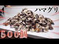 【大食い】ハマグリ５００個を食べつくす！！