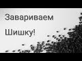 Как заваривать ольховую шишку. Готовим настой для аквариумных рыбок.