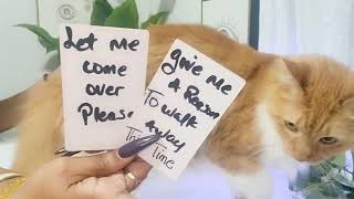 видео: БЛИЗНЕЦЫ ♊️ В СЛЕДУЮЩИЕ 24 ЧАСА! ЖДУТ ВАШЕГО ВЕРНЕНИЯ, СТАРШИЙ ЧЕЛОВЕК, АБСОЛЮТНО ОДЕРЖИМЫЙ ИМ *П... картинка: БЛИЗНЕЦЫ ♊️ В СЛЕДУЮЩИЕ 24 ЧАСА! ЖДУТ ВАШЕГО ВЕРНЕНИЯ, СТАРШИЙ ЧЕЛОВЕК, АБСОЛЮТНО ОДЕРЖИМЫЙ ИМ *П...