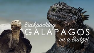 Galapagos - Backpacking on a Budget