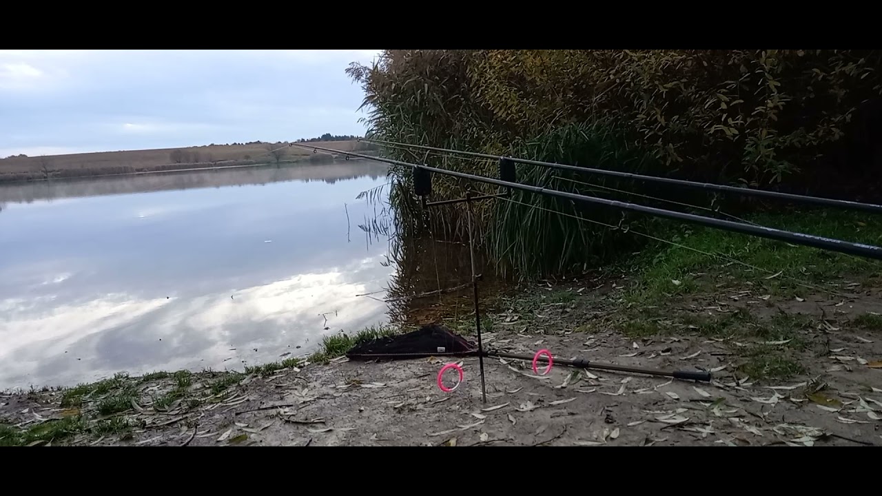 süllő kapás a Desedán