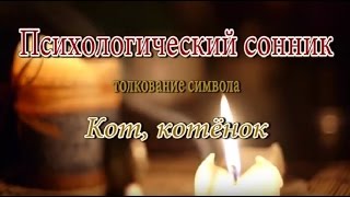 видео К чему снится белый кот